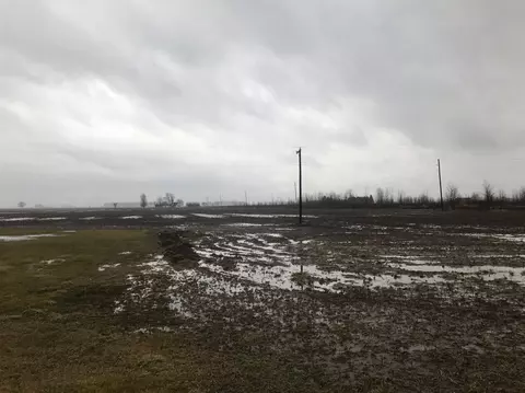 10688 E M-50, Britton, MI 49229 photo 3