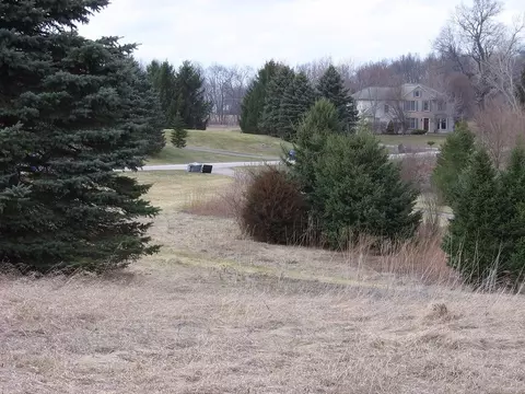 8724 Webster Hills Rd, Dexter, MI 48130 photo 7