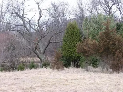 8724 Webster Hills Rd, Dexter, MI 48130 photo 5