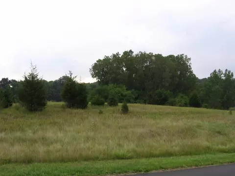 8724 Webster Hills Rd, Dexter, MI 48130 photo 4