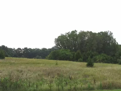 8724 Webster Hills Rd, Dexter, MI 48130 photo 3
