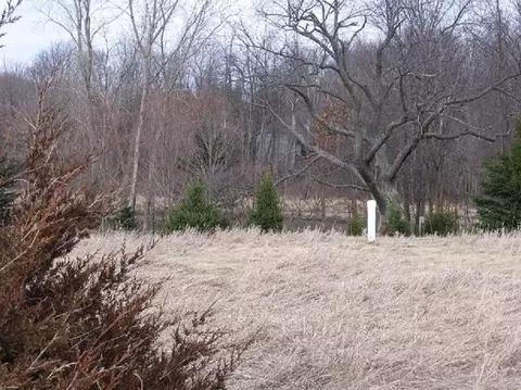 8724 Webster Hills Rd, Dexter, MI 48130 photo 6