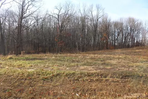 0 Lindsey Unit 10 Rd, Jackson, MI 49201