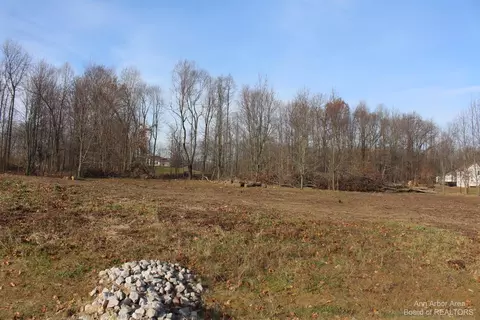 0 Lindsey Unit 19 Dr, Jackson, MI 49201