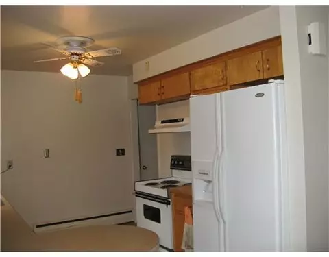 8430 Chamberlin, Dexter, MI 48130 photo 3
