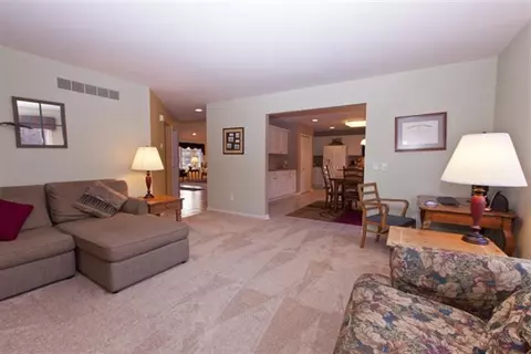 5294 Polo Fields Dr, Ann Arbor, MI 48103 photo 9