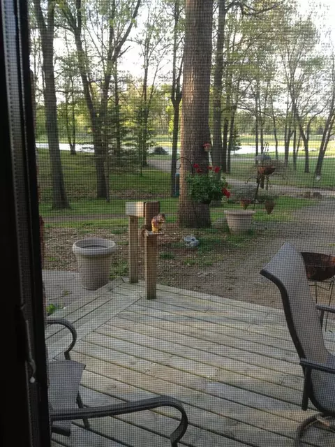 5046 Page Ave, Leoni, MI 49201 photo 31