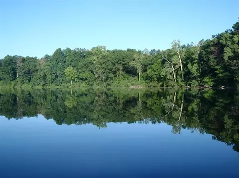 13753 Bramble Brae, Gregory, MI 48137 photo 53