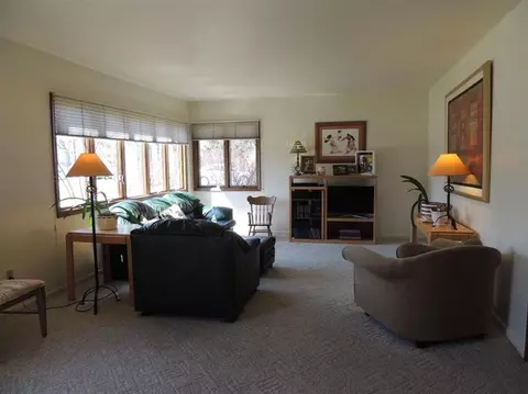 225 Clark, Saline, MI 48176 photo 5