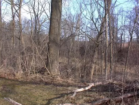 9770 Macon, Saline, MI 48176 photo 6