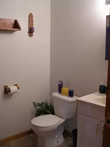 8725 Harris Rd, Dexter, MI 48130 photo 20