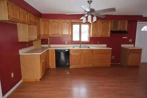 203 S Occidental Rd, Tecumseh, MI 49286 photo 6