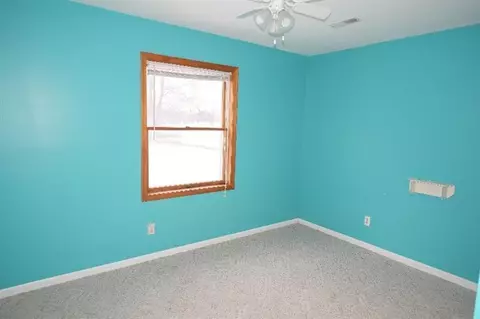 203 S Occidental Rd, Tecumseh, MI 49286 photo 7