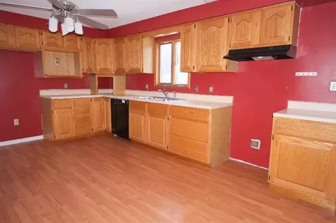 203 S Occidental Rd, Tecumseh, MI 49286 photo 4