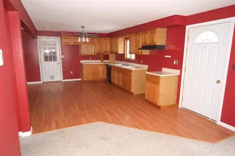 203 S Occidental Rd, Tecumseh, MI 49286 photo 5