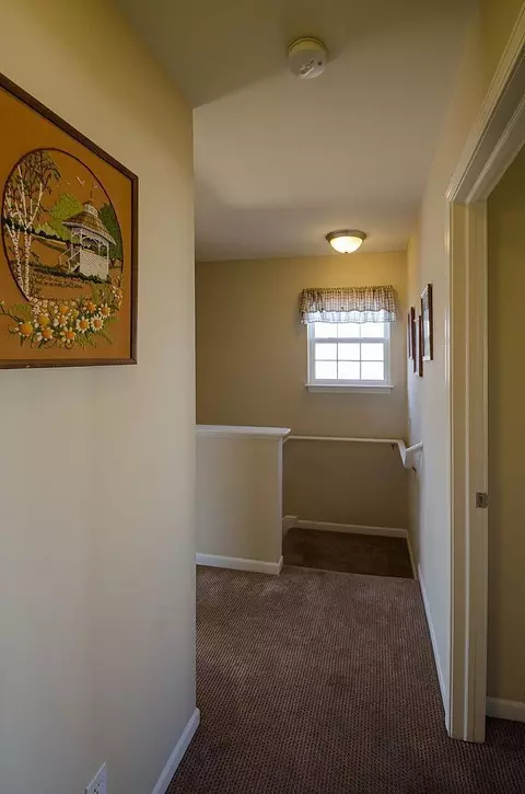 3729 Ryan, Dexter, MI 48130 photo 14
