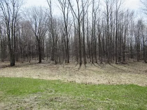9286 Talladay Rd, Willis, MI 48191 photo 3
