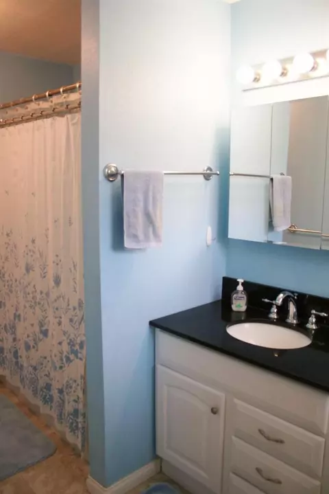 3909 Sharp Rd, Adrian, MI 49221 photo 6