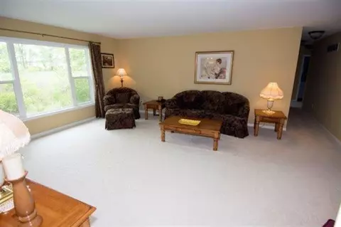 19373 Spears Rd, Gregory, MI 48137 photo 15