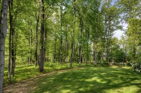 19373 Spears Rd, Gregory, MI 48137 photo 26