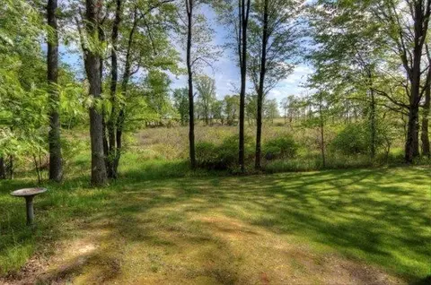 19373 Spears Rd, Gregory, MI 48137 photo 27