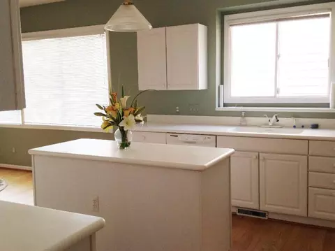 4736 E Sawgrass Dr, Ann Arbor, MI 48108 photo 9