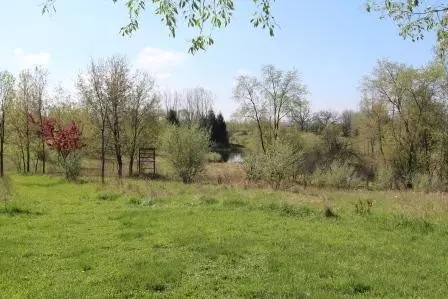 5831 Marshall Rd, Dexter, MI 48130 photo 6