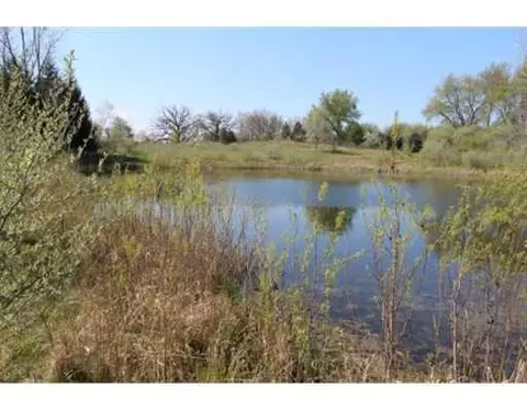 5831 Marshall Rd, Dexter, MI 48130 photo 3
