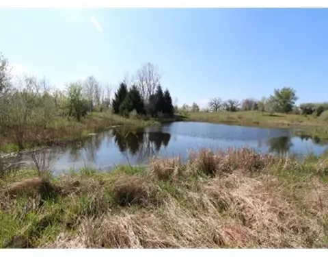 5831 Marshall Rd, Dexter, MI 48130 photo 4