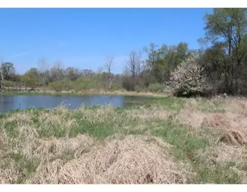5831 Marshall Rd, Dexter, MI 48130 photo 5