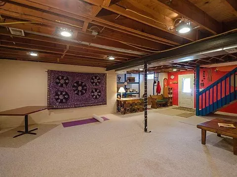 4889 Birch Ln, Dexter, MI 48130 photo 29