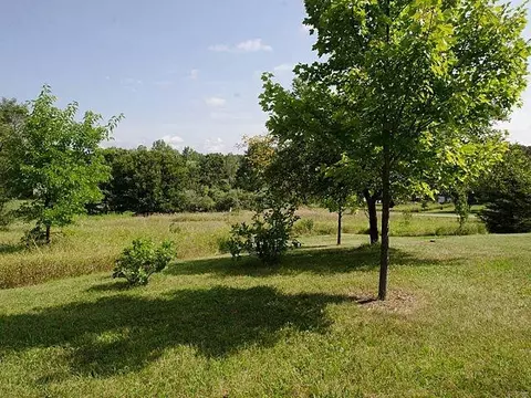 4889 Birch Ln, Dexter, MI 48130 photo 40