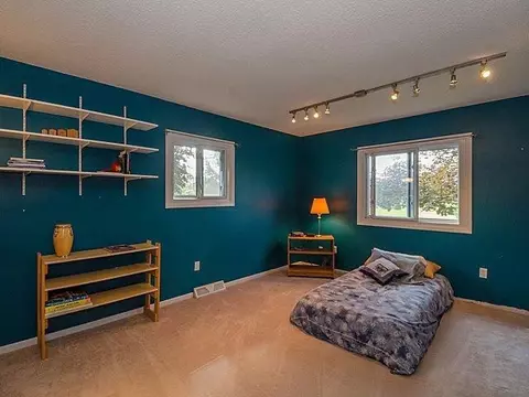 4889 Birch Ln, Dexter, MI 48130 photo 24