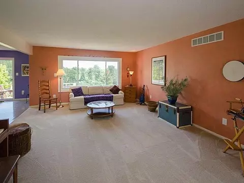4889 Birch Ln, Dexter, MI 48130 photo 5