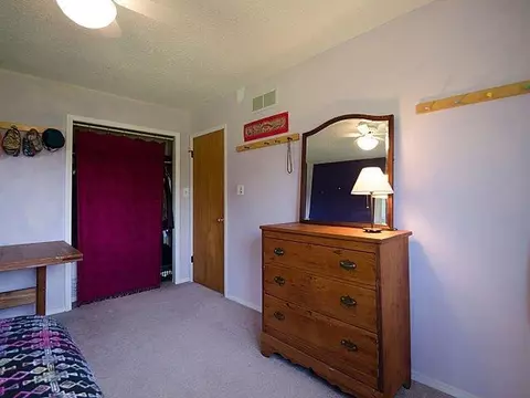 4889 Birch Ln, Dexter, MI 48130 photo 23