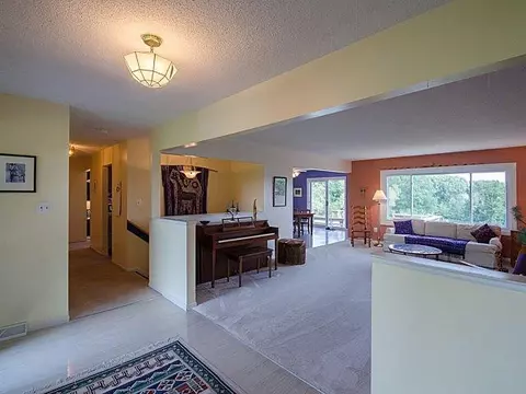 4889 Birch Ln, Dexter, MI 48130 photo 4