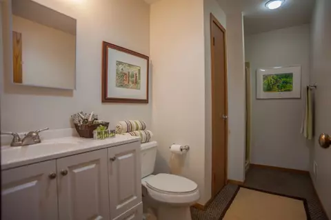 3530 Stanton Ct, Ann Arbor, MI 48105 photo 26