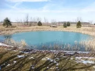 14010 Stowell Rd, Dundee, MI 48131 photo 3