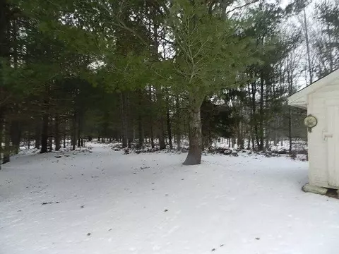 149 E Howard Rd, Beaverton, MI 48612 photo 5