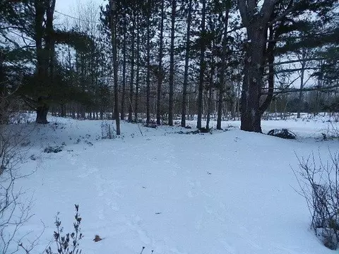 149 E Howard Rd, Beaverton, MI 48612 photo 7