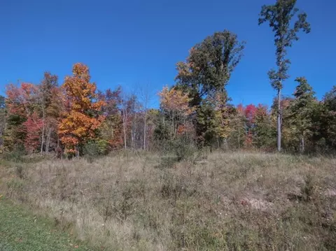 6120 Donovan Rdg, Dexter, MI 48130 photo 3