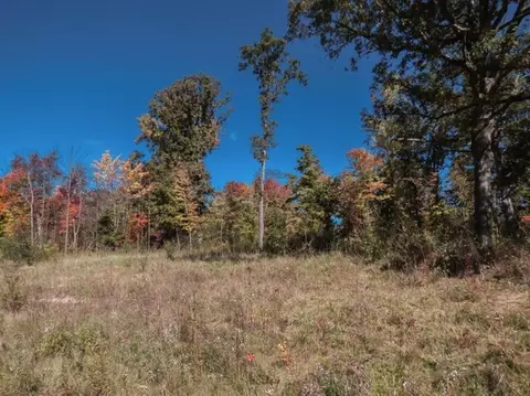 6120 Donovan Rdg, Dexter, MI 48130 photo 1