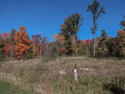 6120 Donovan Rdg, Dexter, MI 48130 photo 2