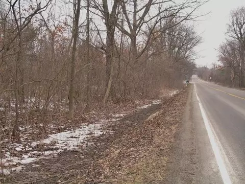 4553 Gregory Rd, Dexter, MI 48130 photo 3