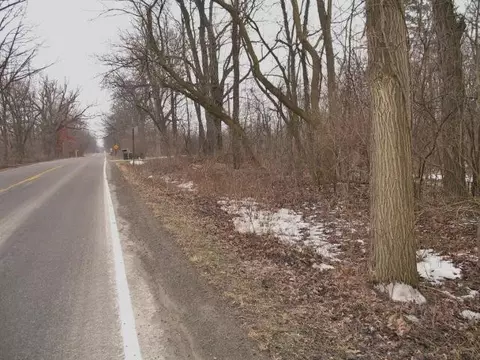 4553 Gregory Rd, Dexter, MI 48130 photo 5