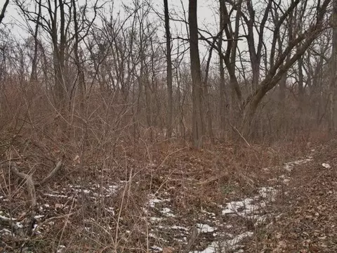 4553 Gregory Rd, Dexter, MI 48130 photo 1