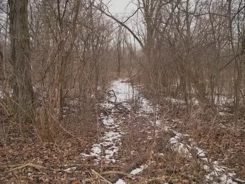 4553 Gregory Rd, Dexter, MI 48130 photo 2