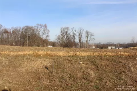 0 Lindsey Unit 28 Rd, Jackson, MI 49201