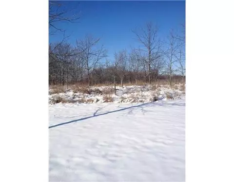 18316 Wasson, Gregory, MI 48137 photo 11