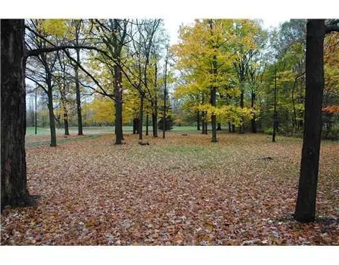 10343 Bemis, Willis, MI 48191 photo 2